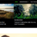 Twenty-fourteen WordPress theme